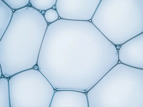 Adobestock 302727464